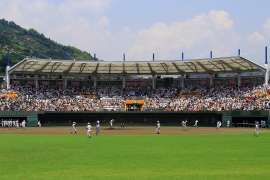 清水庵原球場